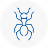 Ant Removals In Burnham On Sea