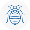Bed Bug Extermination In Burnham On Sea