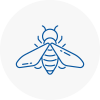 Bee Nest Removal Burnham On Sea