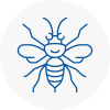 Burnham On Sea Hornet Nest Removals