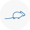 Mice Exterminators In Burnham On Sea