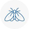 Moth Control Specialists In Burnham On Sea