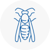 Burnham On Sea Wasp Nest Removal